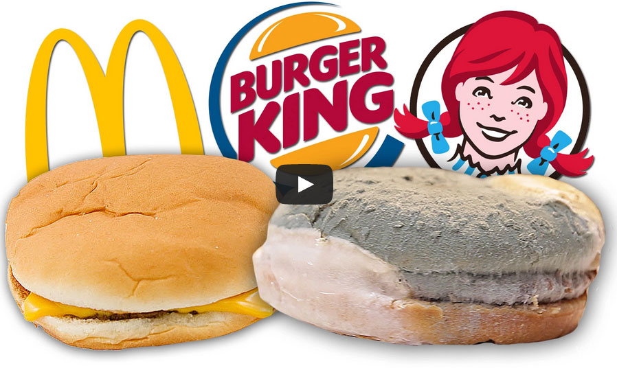 Shocking Video of 7 Burgers Rotting. You Won’t Believe How McDonald’s Looks