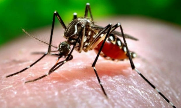 Zika Threaens Rio