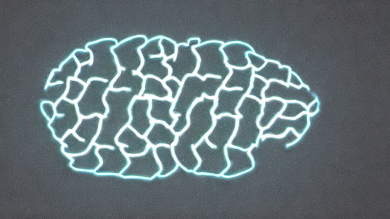 This Why 15-second videos are rewiring our brains Will Break Your Brain - Featured Image