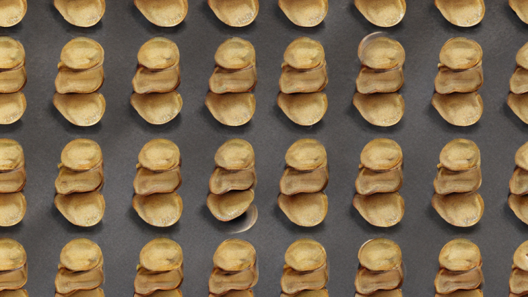 This AI-generated potato chips that scream when bitten Will Break Your Brain - Featured Image