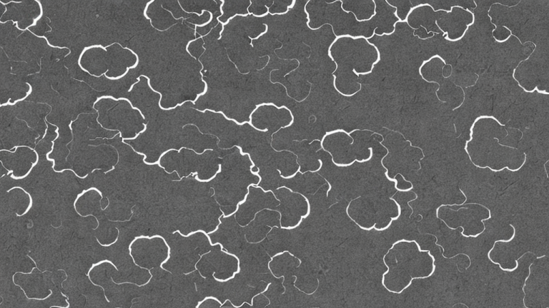 This Weather patterns that make no scientific sense Will Break Your Brain - Featured Image